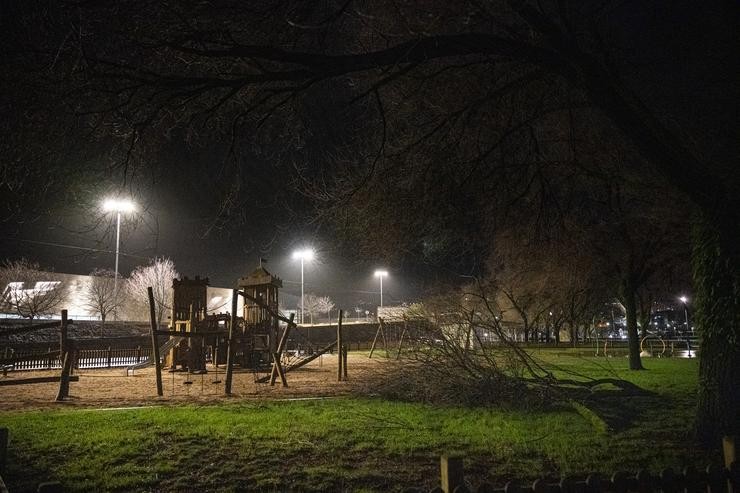 Unha árbore caída tras o temporal e a borrasca Herminia 