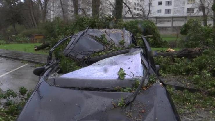 Coche destrozado tras caerlle unha árbore enriba ao paso da borrasca Herminia 