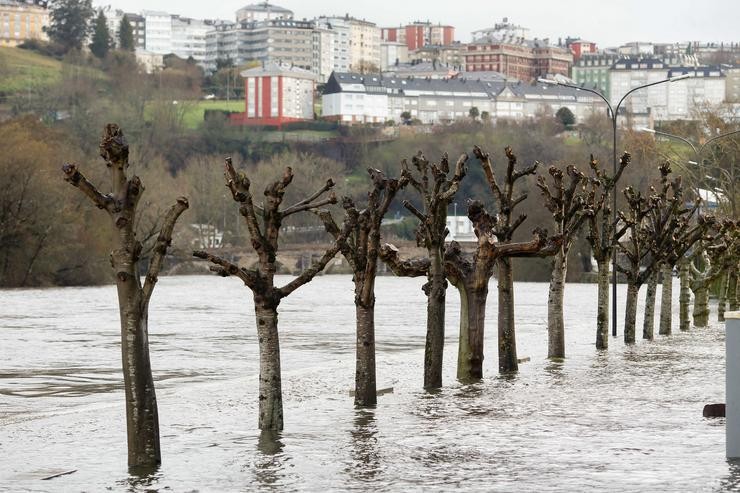 Desbordamento do río Miño, a 28 de xaneiro de 2025, en Lugo, Galicia (España).. Carlos Castro - Europa Press 