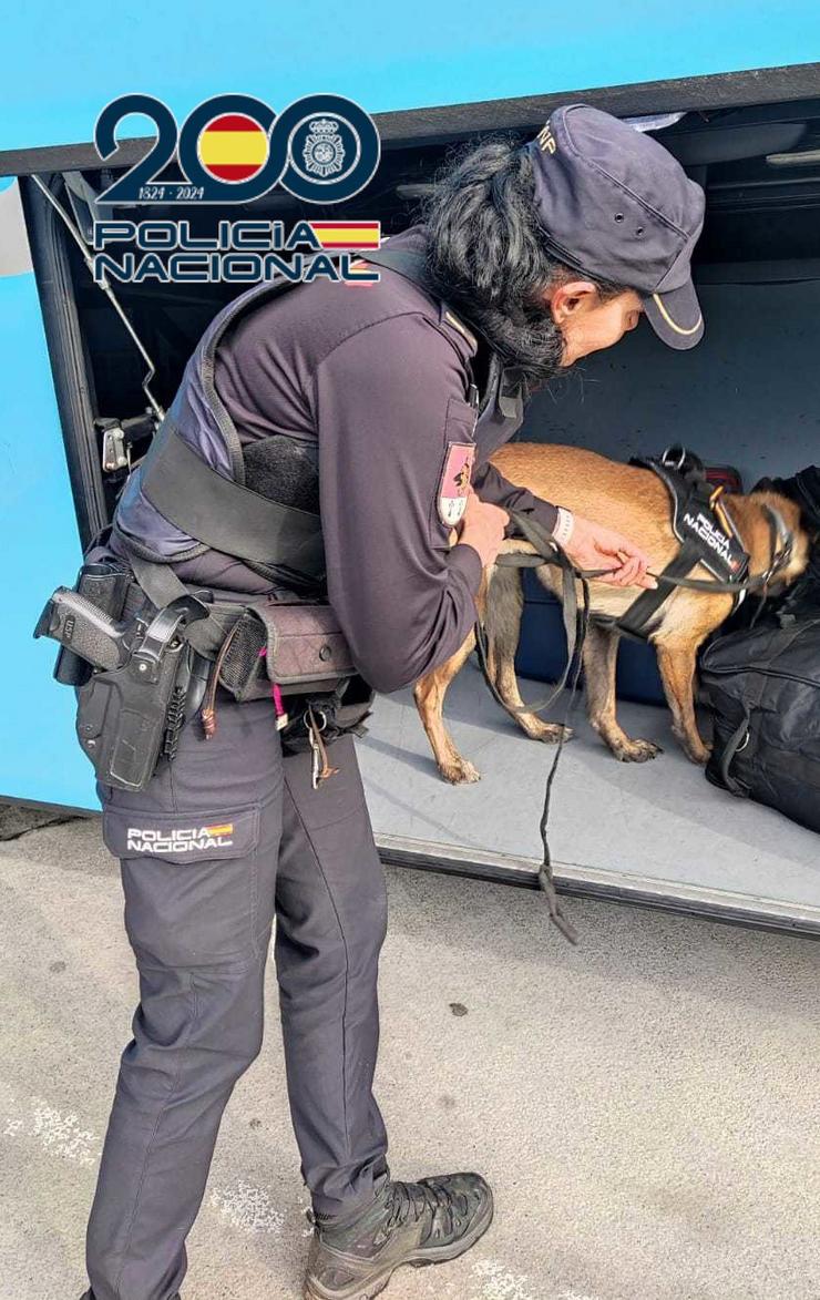 Can policía vixía o arcón dun autobús. POLICÍA NACIONAL 