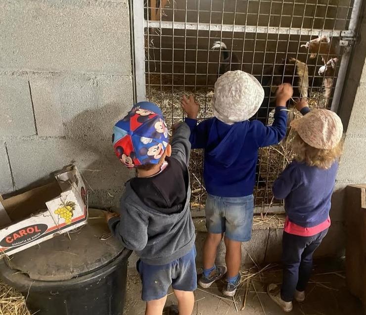 Actividades na escola unitaria de Rubiós, no concello das Neves 