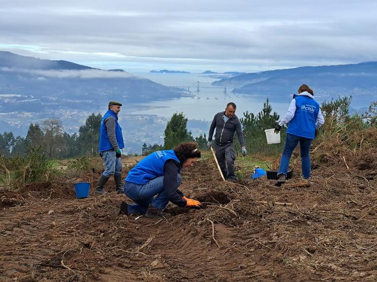 Voluntarios de Afundación plantan frondosas en Ou Viso, en Redondela (Pontevedra). AFUNDACIÓN 