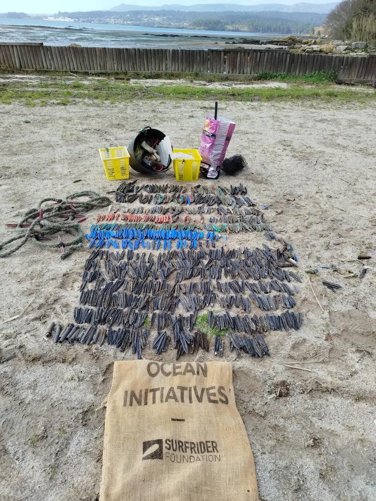 Recollida realizada en Praia da Torre, en Rianxo, no Tarugotón25 