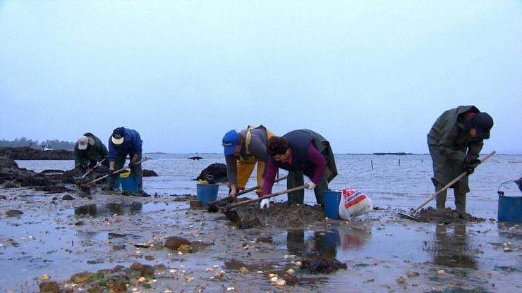 Mariscadores a pé 