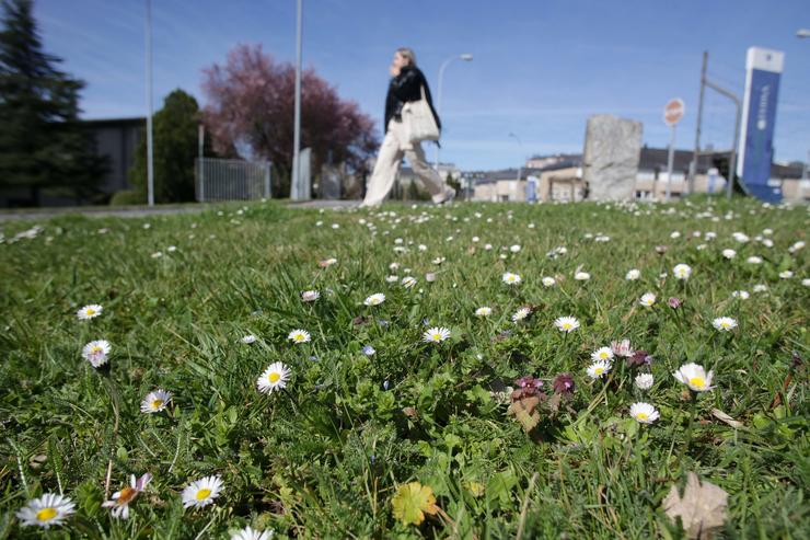 Unha moza camiña fronte a un campo cheo de margaridas o día que comeza  a primavera, no Campus da USC, a 20 de marzo de 2023, en Lugo 