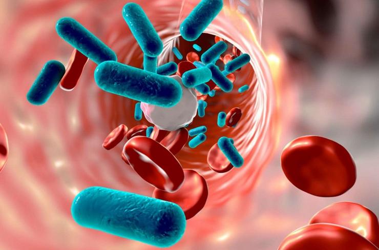 Resistencia bacteriana aos antibióticos 